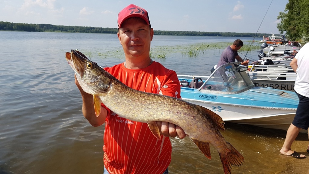 Фестиваль победитель.jpg