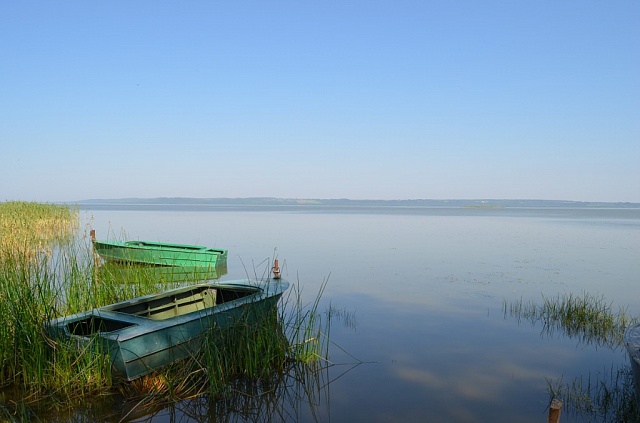 Незаконный лов рыбы – всегда преступление