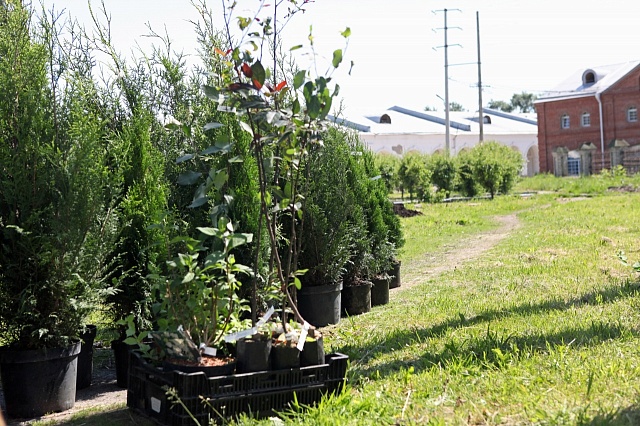 В центра Галича появился новый сквер 