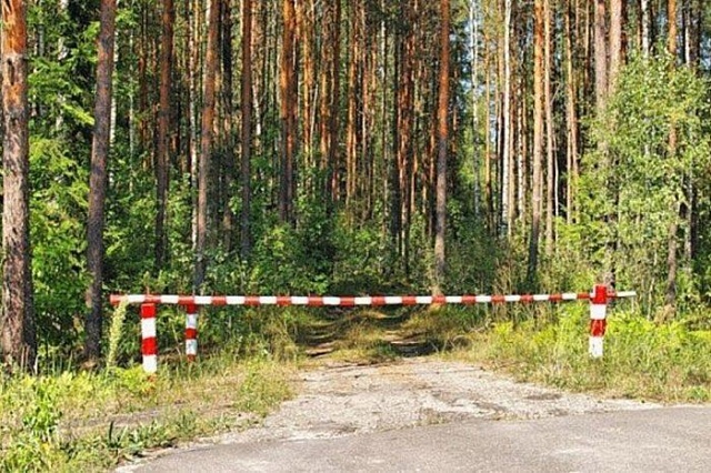 Департамент региональной безопасности проверяет соблюдение жителями региона особого противопожарного режима