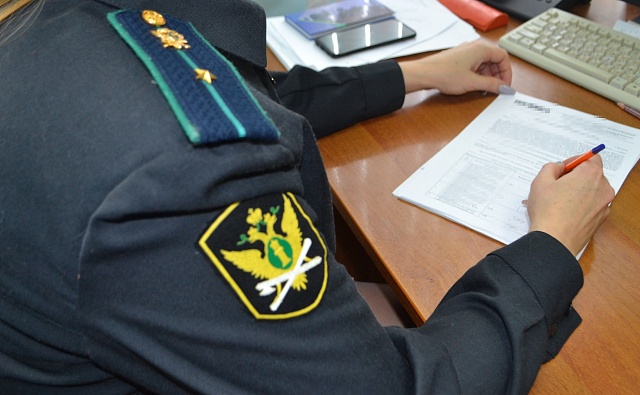 Судебные приставы области примут участие во Всероссийском Дне правовой помощи детям