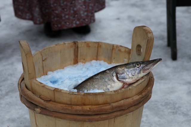 Что интересного в Костромской области?