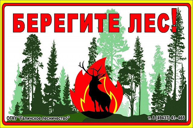 В регионе объявлен месячник пожарной безопасности