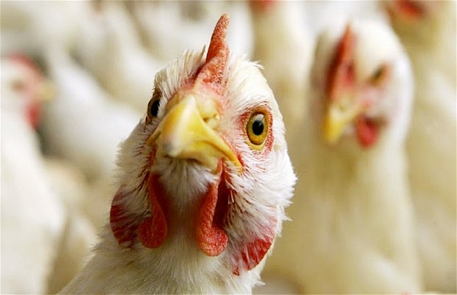 Какой реальной может быть угроза