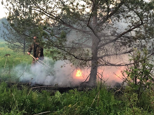 В Галичском районе введен особый противопожарный режим 