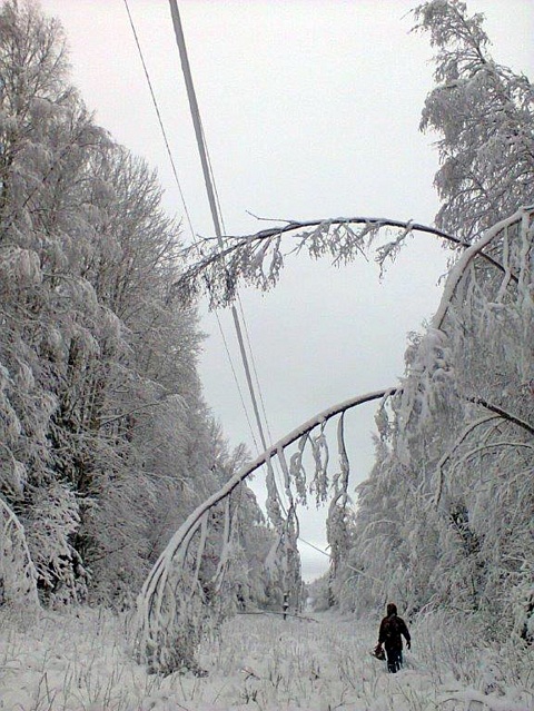 Свет и снег: победа энергетиков
