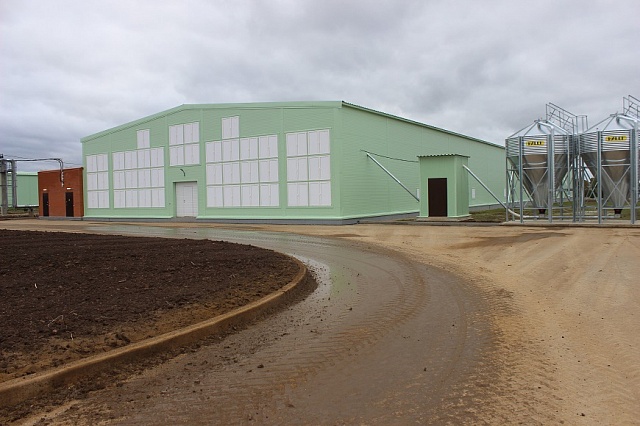 На галичской птицефабрике построен еще один цех по выращиванию молодняка кур