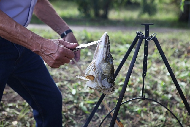 Море ухи на берегу галичского озера