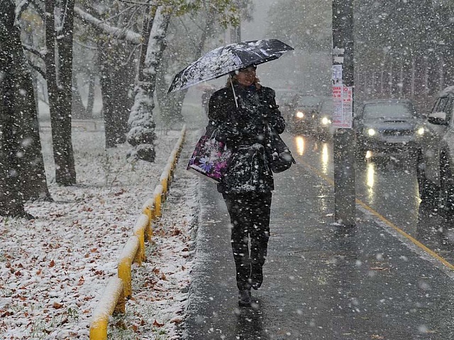В Костромской области ожидается усиление ветра и сильные осадки