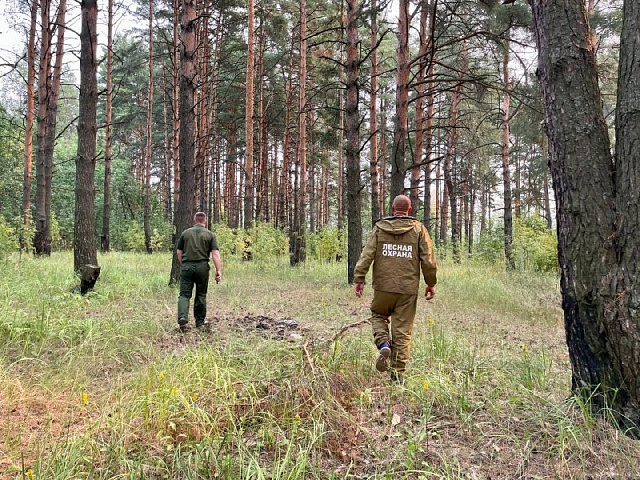 В условиях противопожарного режима посещение гражданами лесов - запрещено!