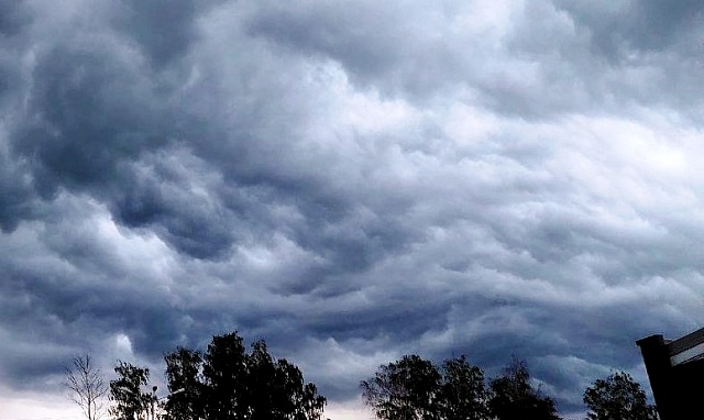 24 июля ожидается гроза, дождь, порывы ветра