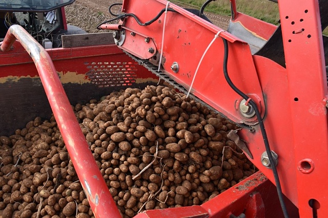 Сергей Ситников: необходимо принять дополнительные меры для насыщения рынка собственной овощной продукцией