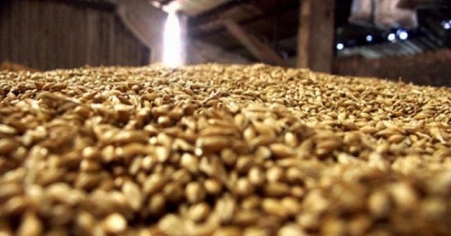 Уборочная страда подходит к концу