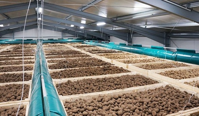 Строительство современного овощехранилища станет стимулом для аграриев к увеличению посадок овощей и картофеля