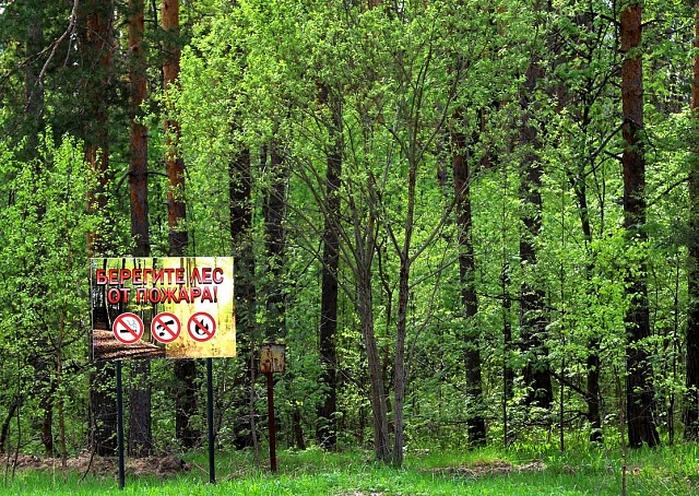 Первые дни июня в Костромской области сохранится жара