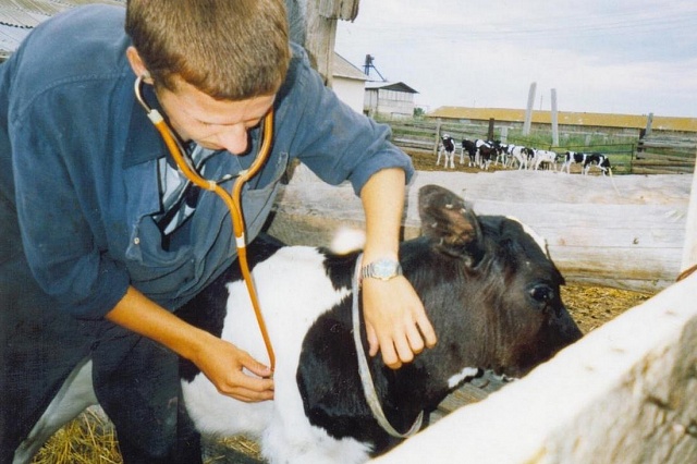 Государственная поддержка молодых ветеринарных специалистов