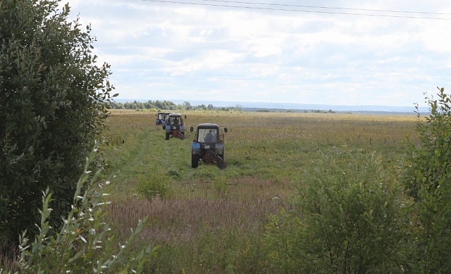 В районе началась уборка зерновых