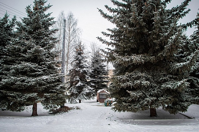 У памятного камня галичанам-участникам боевых действий установлена опора освещения