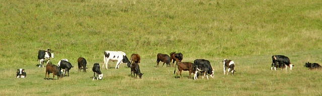 Поддержка сельского хозяйства государством обязательно должна быть постоянной