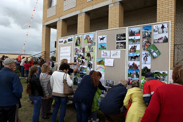 Ах вы, кони, мои кони