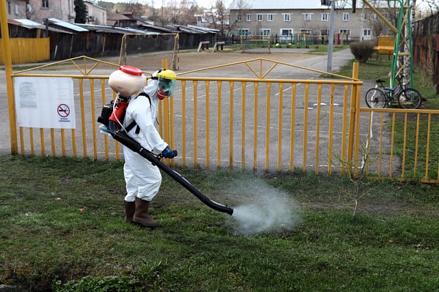 Каждый пятый клещ несет болезнь