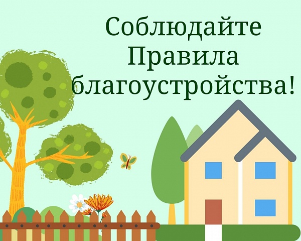 С чего начинается чистота и порядок