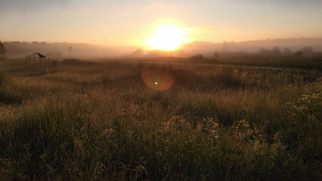 В Костромской области прогнозируется усиление ветра