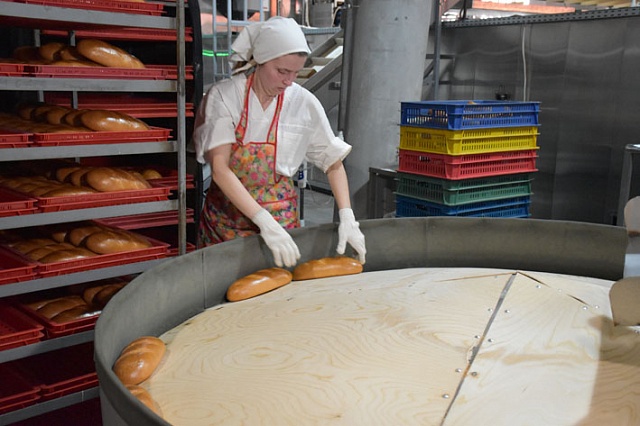 НОВЫЕ ПРЕДПРИЯТИЯ - НОВЫЕ ПЕРСПЕКТИВЫ РАЗВИТИЯ РЕГИОНА