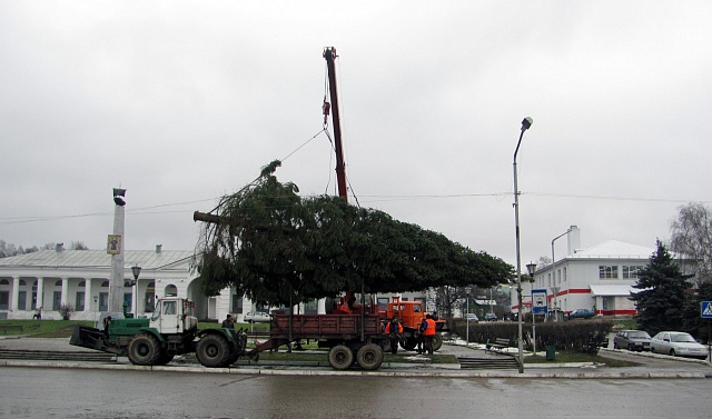 В пятницу на зеленый газон поставили елку
