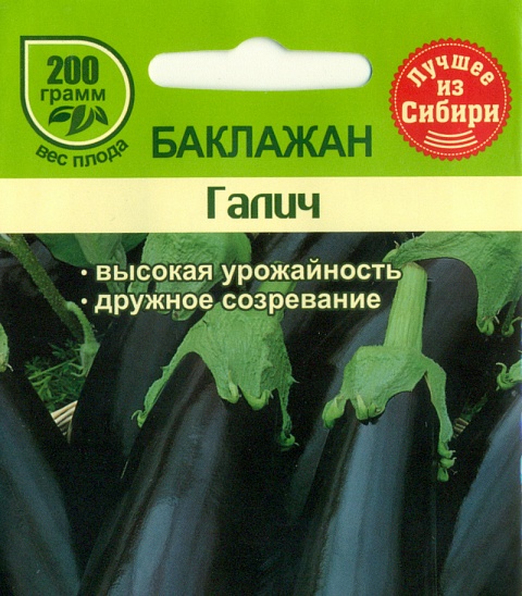 Синий овощ по имени Галич