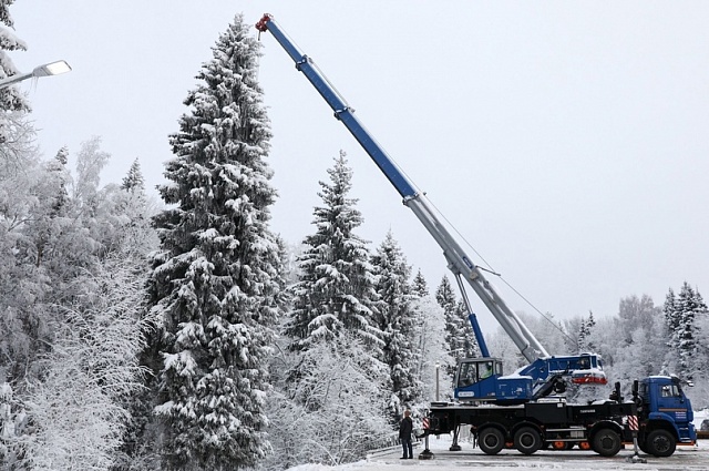 «Галичанин» станцевал с главной елкой страны