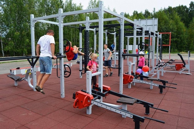 Костромская область вошла в тройку регионов-лидеров по внедрению комплекса ГТО