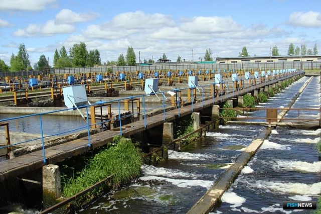 Костромские производители сельхоз продукции получили финансовую поддержку из областного бюджета