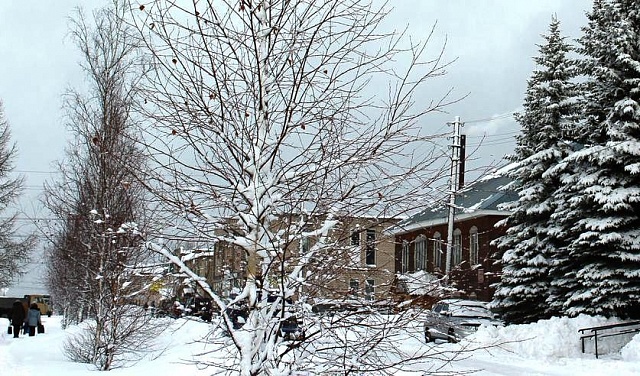 С 20 декабря в Костромской области ожидается похолодание