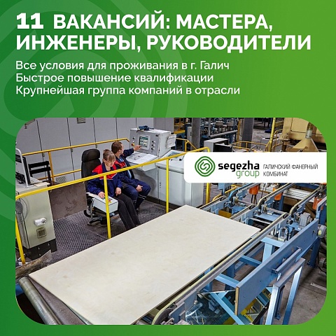 Вы или ваши знакомые из Галича и Костромской области работали в лесопромышленности? 