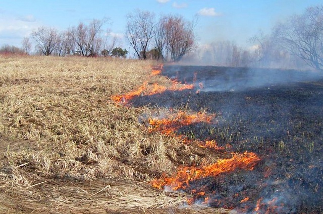 Жителей региона призывают воздержаться от пала травы