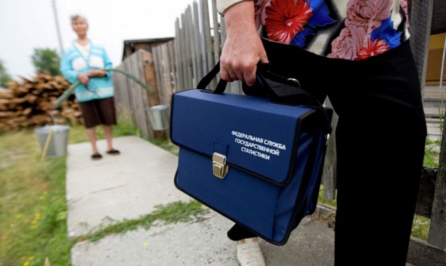 Сельское хозяйство: что в нем?