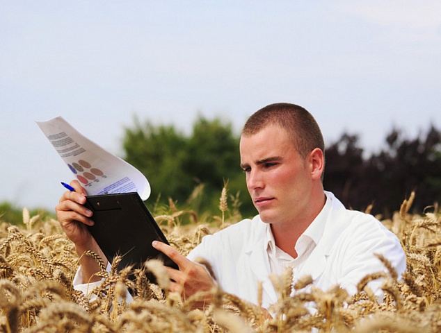 Работа по специальности