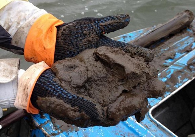 Кто будет добывать галичский сапропель?