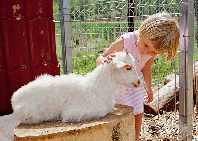 Двор придется ко двору