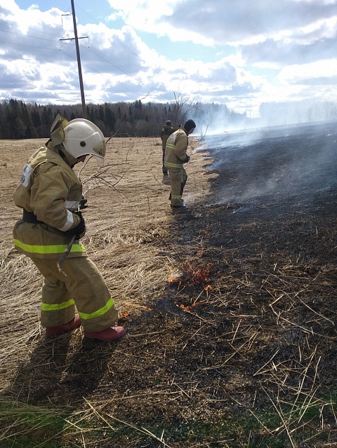 О введении особого противопожарного режима