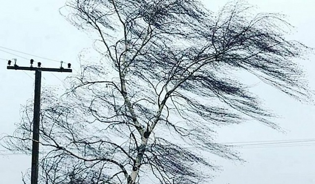 В Костромской области ожидается усиление ветра до 17 метров в секунду