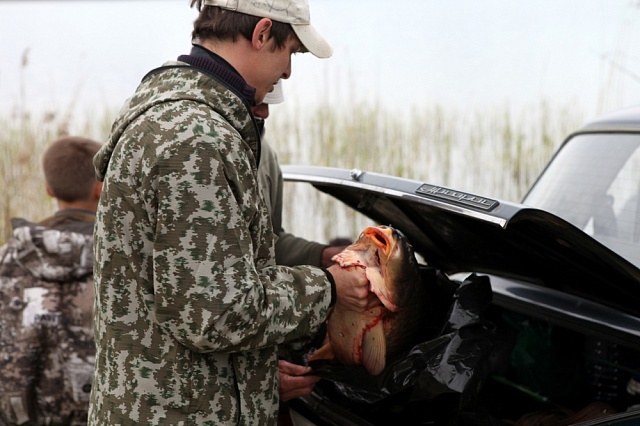 Есть ли рыба в Галичском озере?