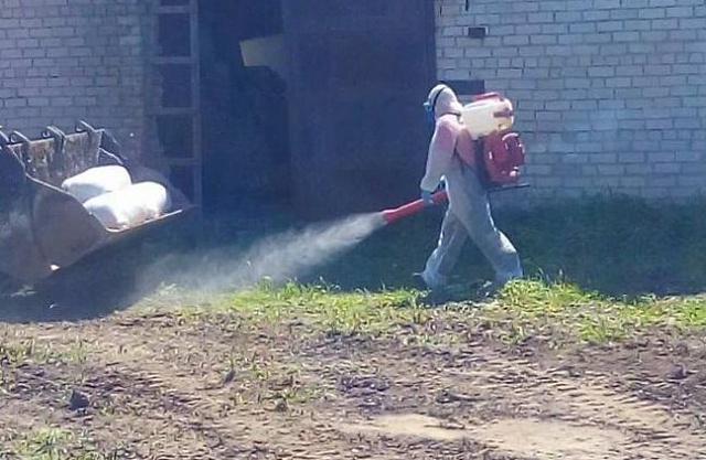 Ветеринарные специалисты ликвидируют очаги АЧС а Антроповском и Солигаличском районах