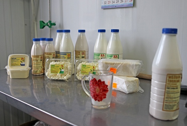 Михаил Румянцев: «Коровы – свои, производство – свое, корма – тоже свои, российские. Галичан без молока и творога не оставим!»